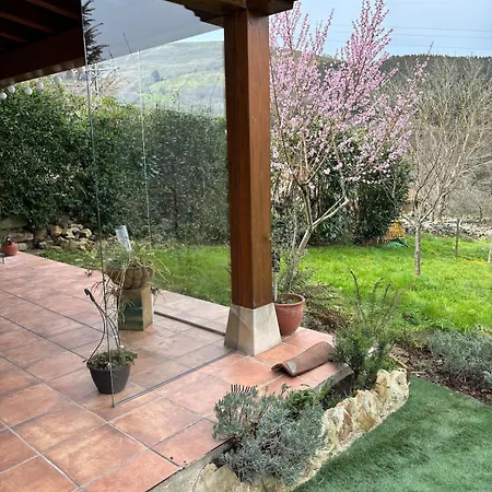 The Walnut Tree * San Miguel de Luena