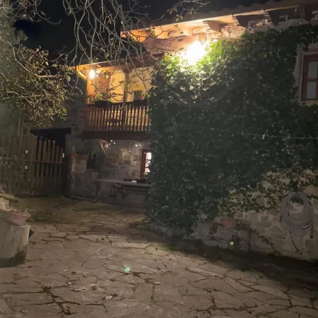 The Walnut Tree San Miguel de Luena